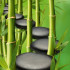 EUROGRAPHICS Deco Glass  Stones & Bamboo Path  30 x 30 cm